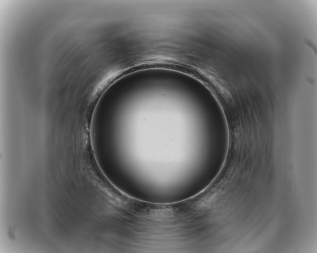 X0000095921363200801181408