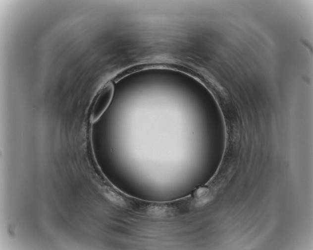 X0000095921364200801181408