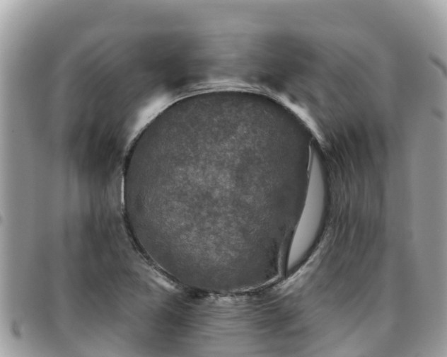 X0000095921365200801181408