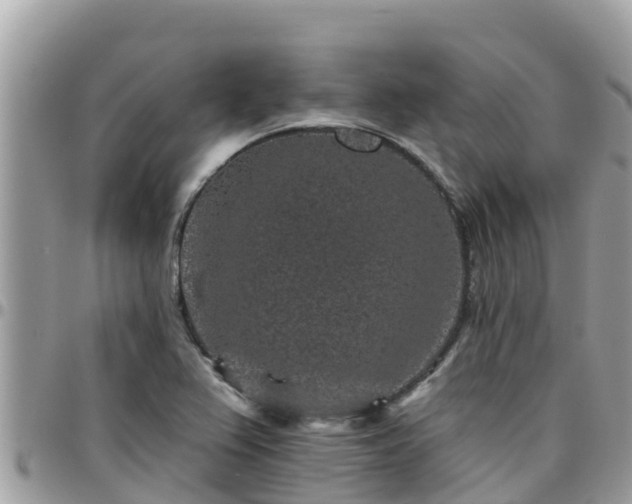 X0000095921367200801181408