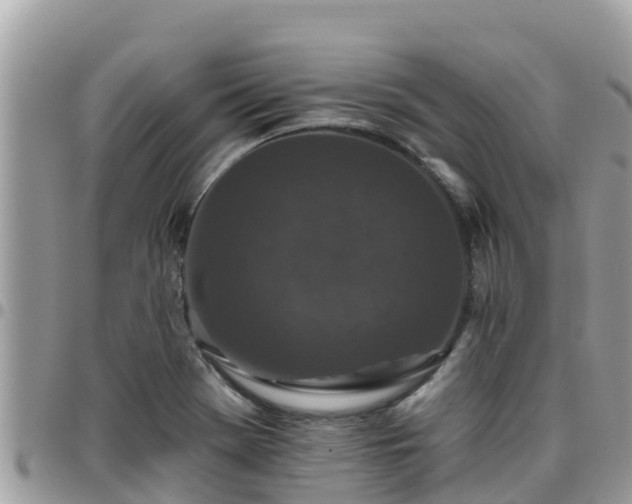 X0000095921369200801181408