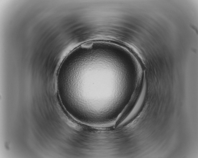 X0000095921371200801181408