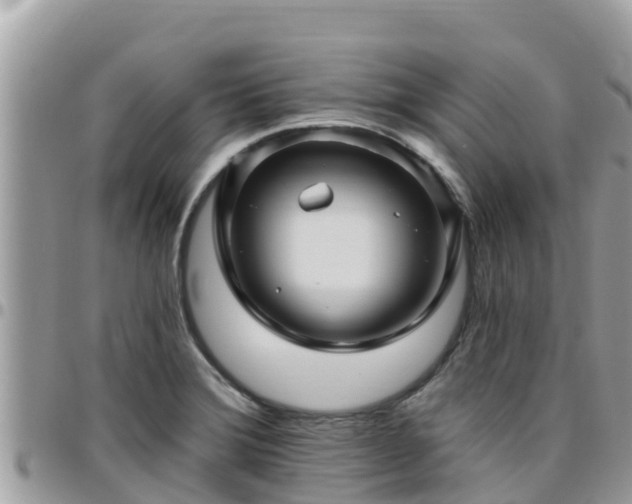 X0000095921372200801181408