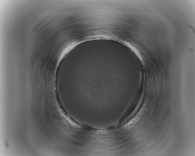 X0000095921373200801181408