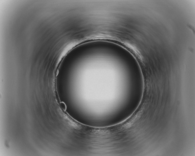 X0000095921374200801181408