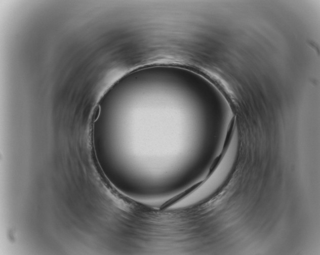 X0000095921375200801181408