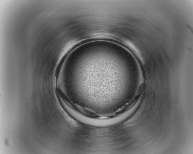 X0000095921376200801181408