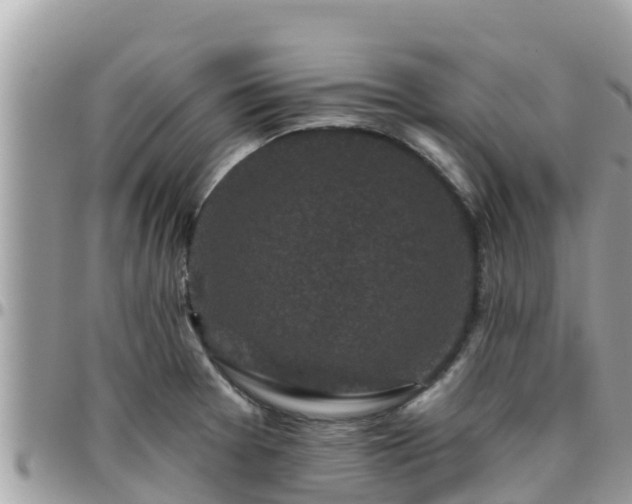 X0000095921377200801181408