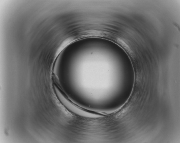 X0000095921378200801181408