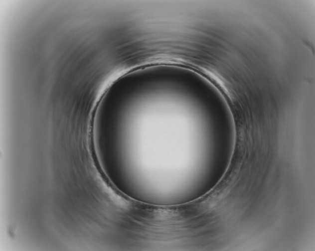 X0000095921379200801181408