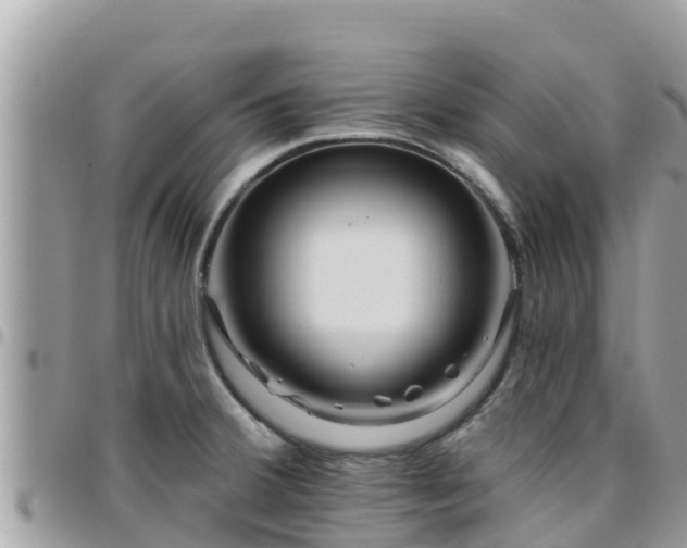 X0000095921380200801181408