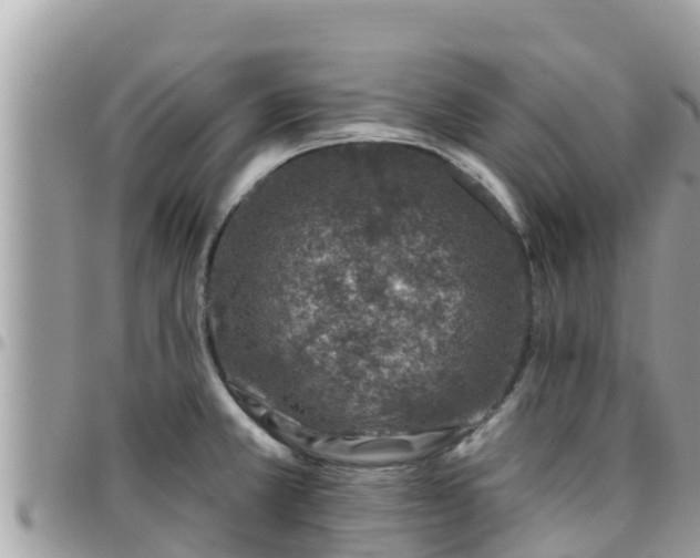 X0000095921381200801181408