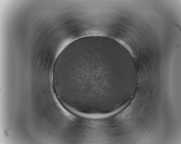 X0000095921383200801181408