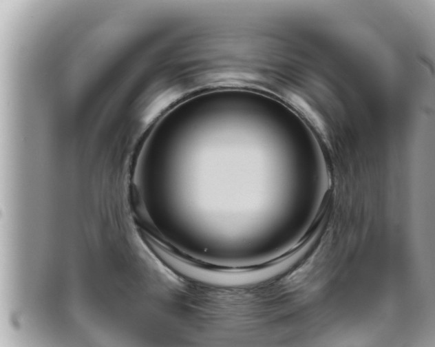 X0000095921384200801181408