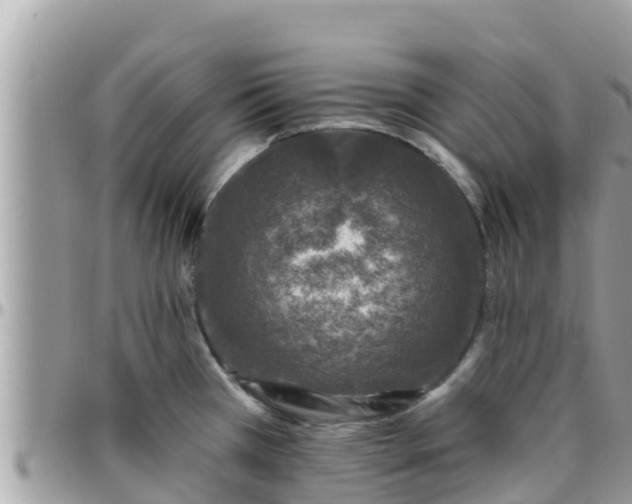 X0000095921385200801181408