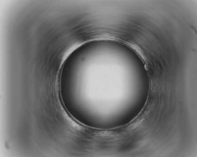 X0000095921387200801181408