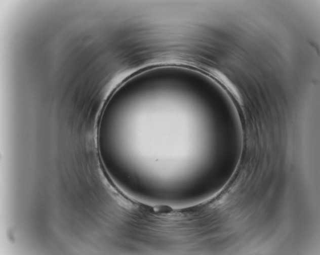 X0000095921388200801181408