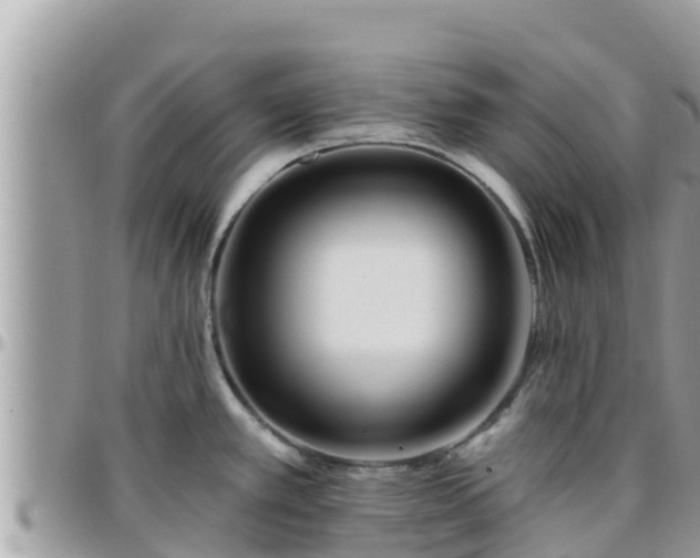 X0000095921389200801181408