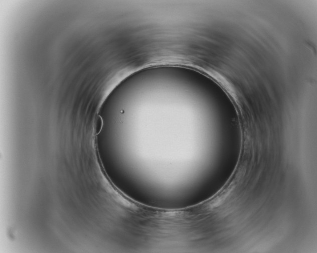 X0000095921390200801181408