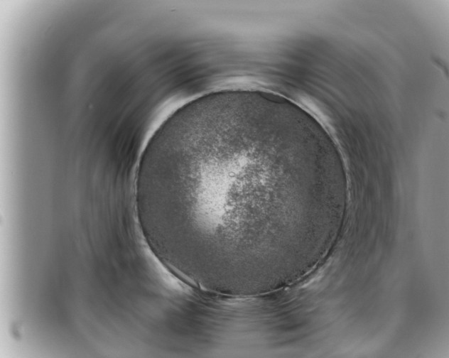 X0000095921392200801181408