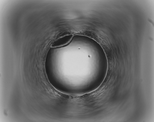 X0000095921393200801181407