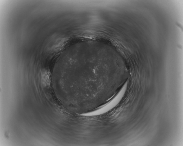 X0000095921394200801181407