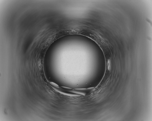 X0000095921395200801181407