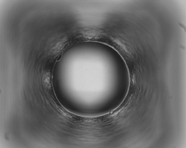 X0000095921396200801181407