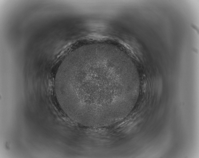 X0000095921397200801181407