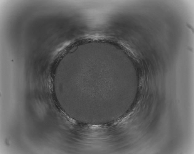 X0000095921398200801181407