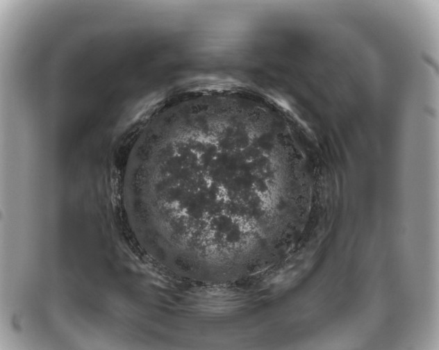 X0000095921399200801181407