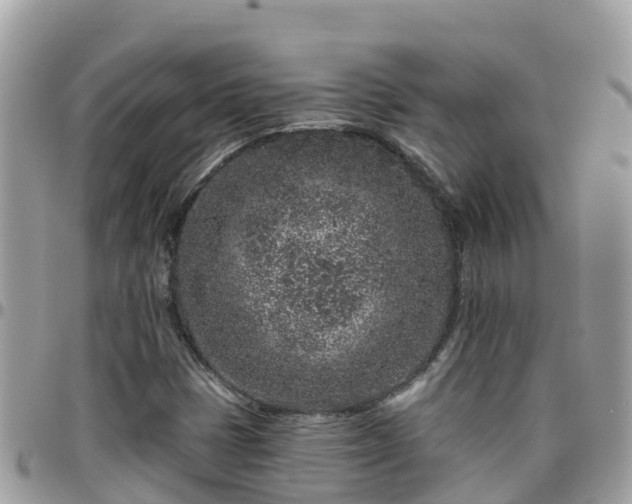 X0000095921401200801181407