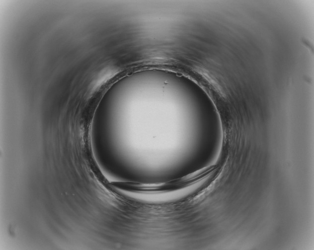 X0000095921402200801181407