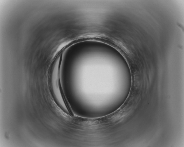 X0000095921404200801181408