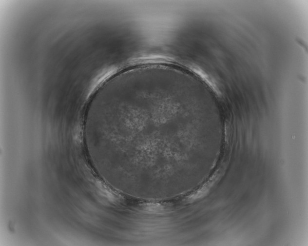 X0000095921405200801181408