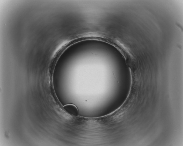 X0000095921408200801181408