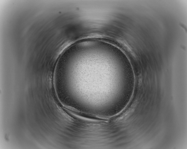 X0000095921409200801181408