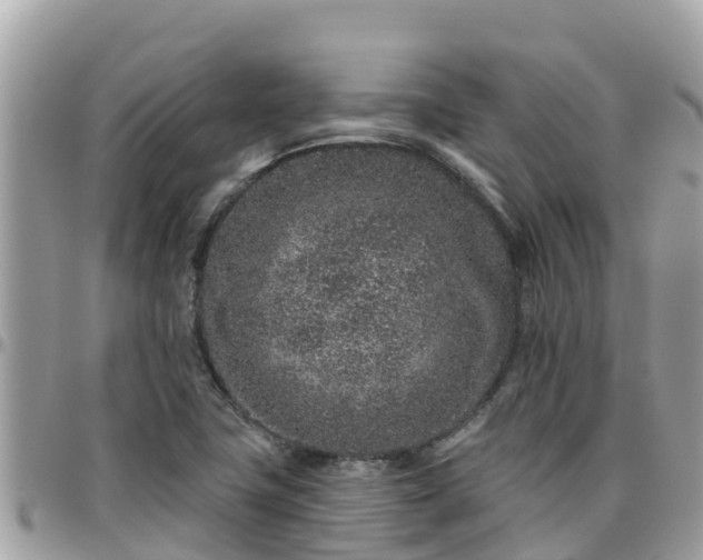 X0000095921411200801181408