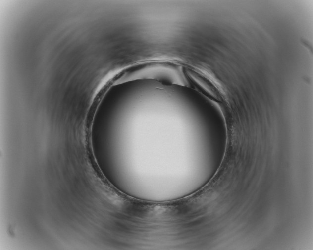 X0000095921412200801181408