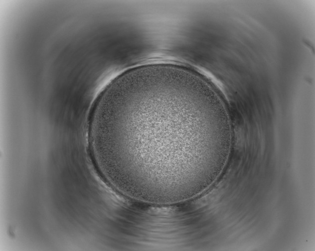 X0000095921415200801181408