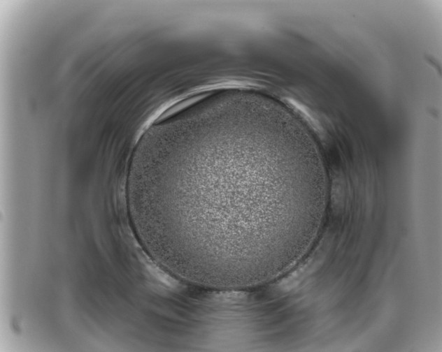 X0000095921417200801181408