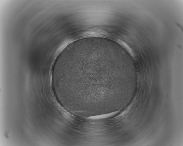 X0000095921419200801181408