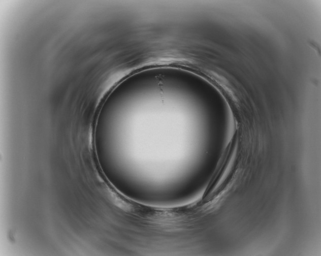 X0000095921420200801181408