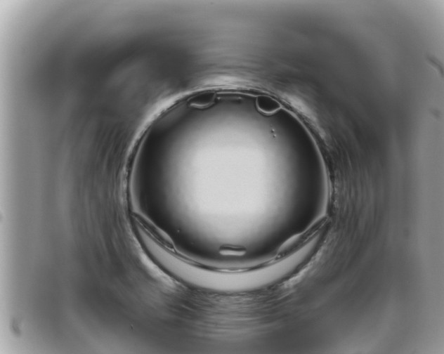 X0000095921421200801181408