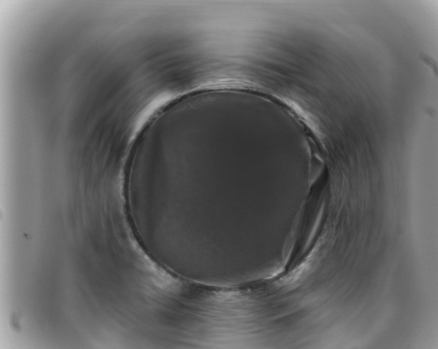 X0000095921422200801181408