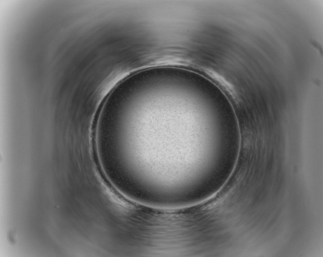 X0000095921423200801181408