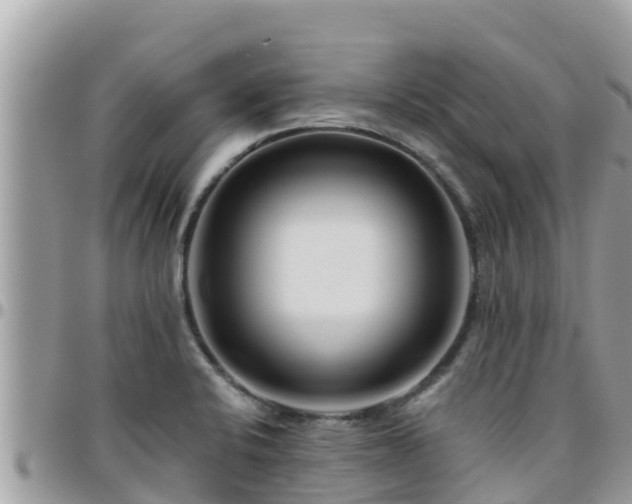 X0000095921424200801181408