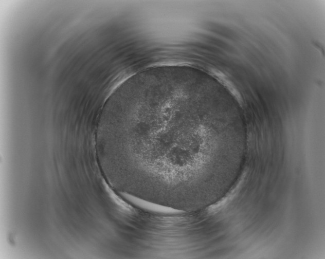 X0000095921425200801181408