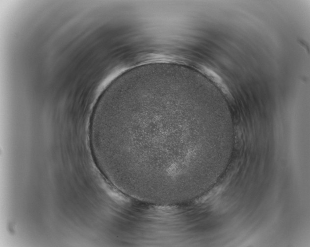 X0000095921427200801181408