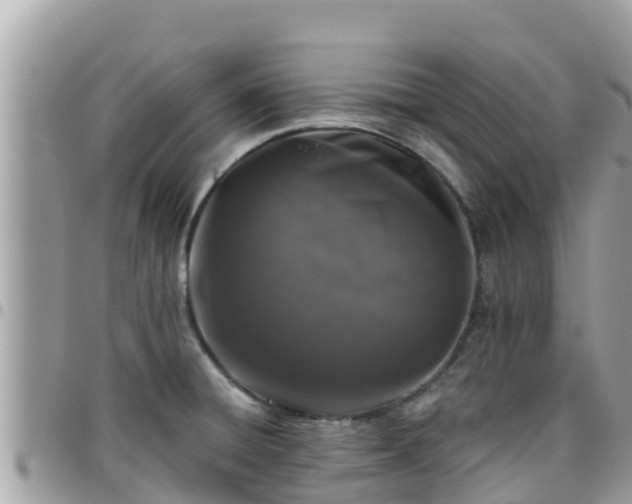 X0000095921428200801181408